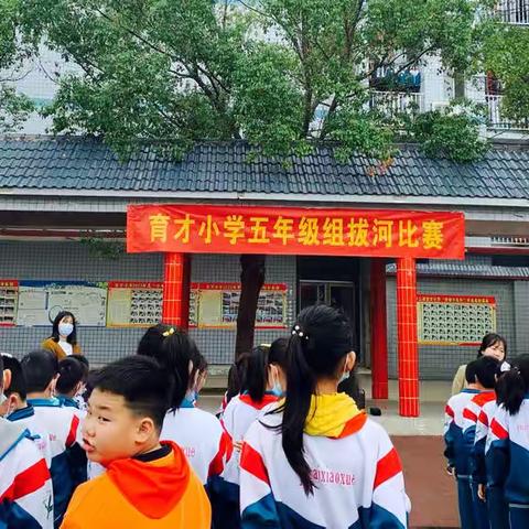 育才小学五年级拔河比赛