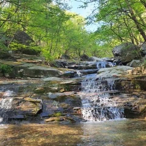 물 흐르는 대로