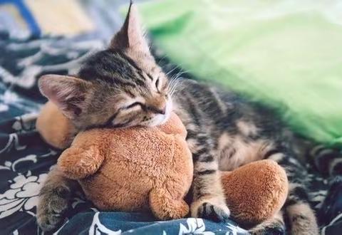 지금 다시 시작하세요