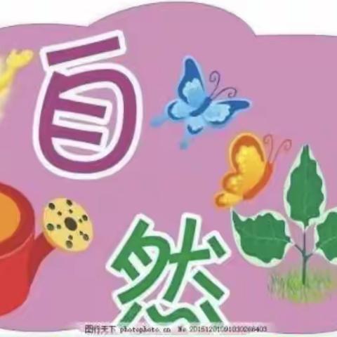 自然角的小秘密———子墨翰林幼儿自然角评比