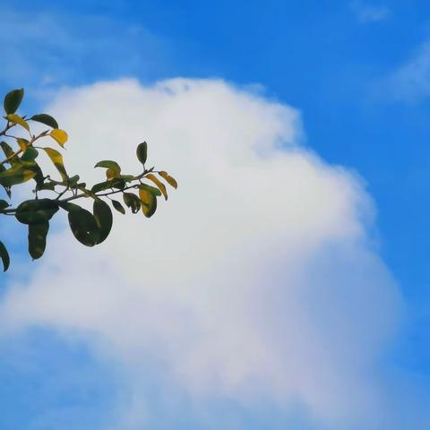 金秋十月，美好十月🍂