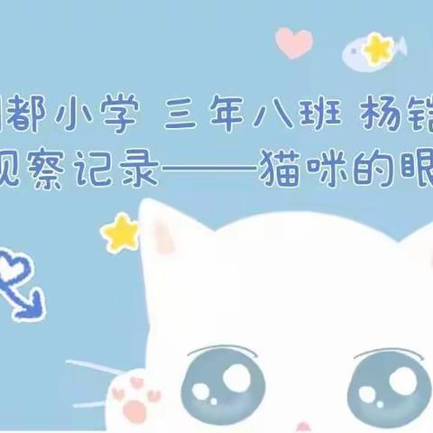 钢都小学 三年八班 杨铠瑞 观察动物记录