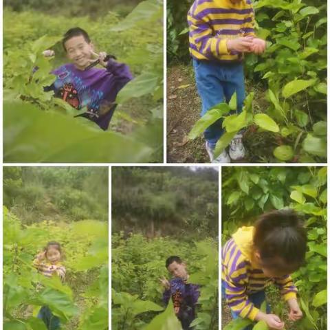 缤纷多彩的五一节