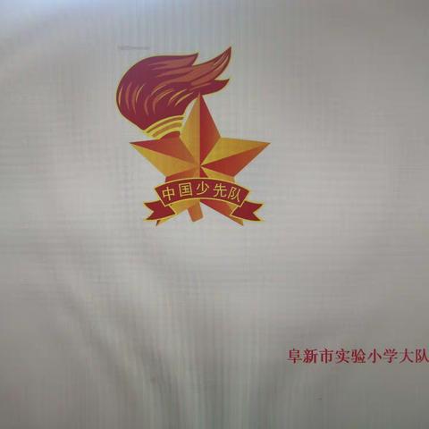 阜新市实验小学少先队员入队前培训