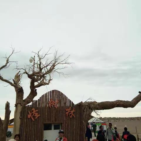 额济纳旗金秋游