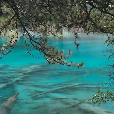 2017年春季九寨沟黄龙风景区之旅