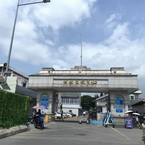 康乐怡暑假实践活动
