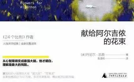 读《献给阿尔吉侬的花束》——人生百态，怎知孰好孰坏？
