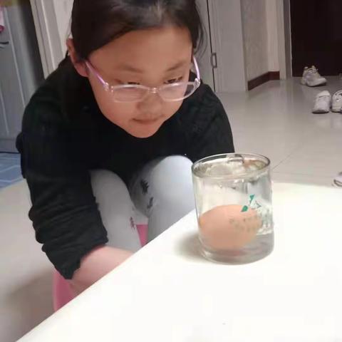 当语文遇上科学——实验小学三年级语文组习作活动实记