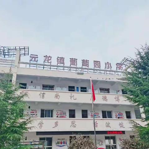 线上教学 稳步前行——元龙镇葡萄园小学线上教学纪实