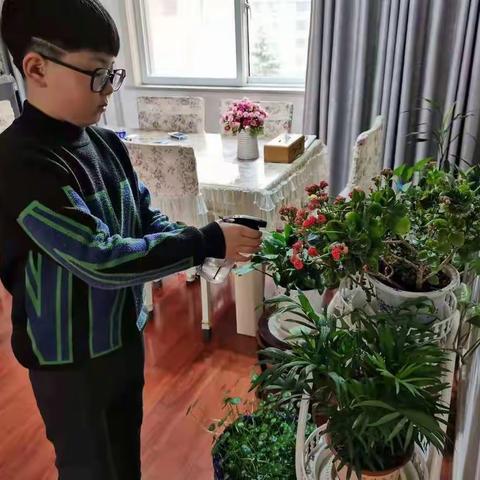 二一班 绿植养护篇花儿与少年