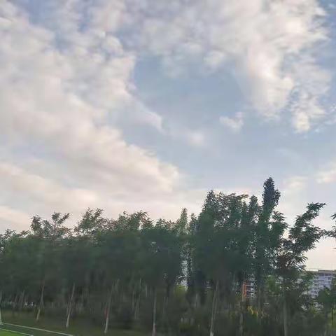 【第20篇】体验当妈妈的角色，感觉一个字：累