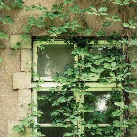 第29篇：孩子对别人的态度就是父母对别人的态度