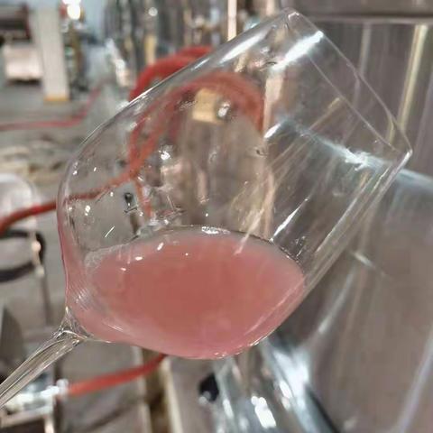 第33篇：终于完成了这件事