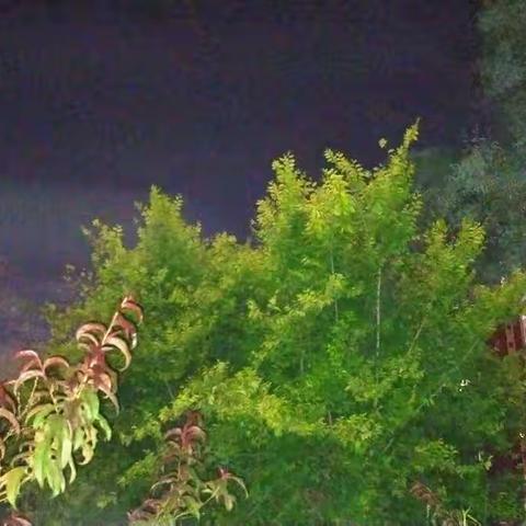 第26篇：又进一步的爱情