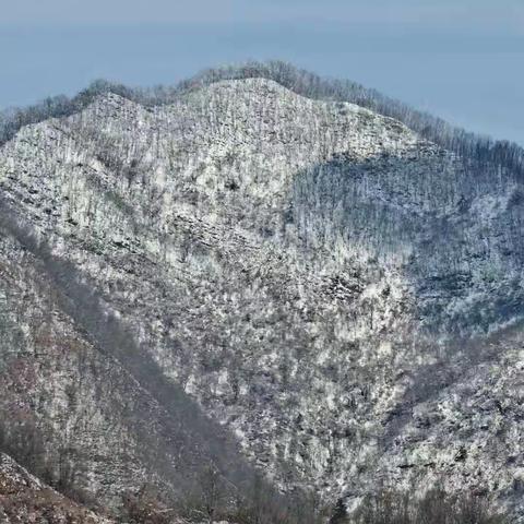 青山一我们的根