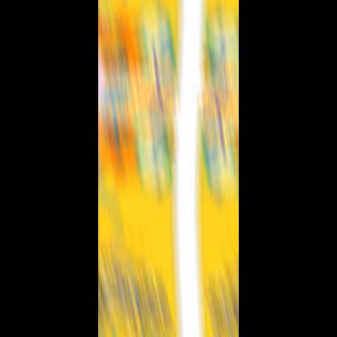 趣味闲暇，活力飞扬——龙外四(2)班闲暇日活动