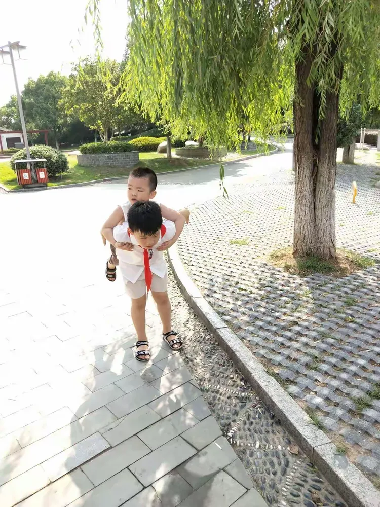 淡定的美篇叶子豪的生活记录篇