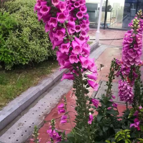 自由驰骋的美篇