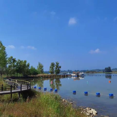 美丽云竹湖             快乐金笛人