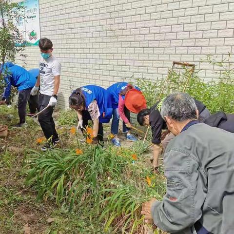 创建卫生城市工作逐步开展进行中，丰苑社区的工作者、网格员、物业工作人员立马行动起来!