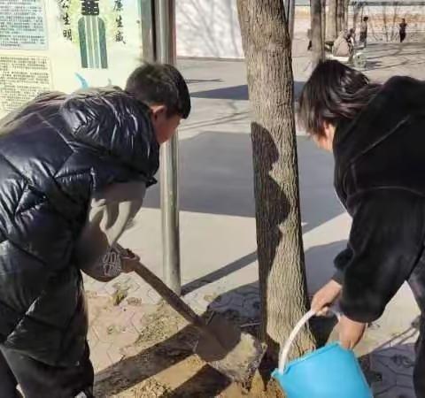 低碳生活，从植树开始