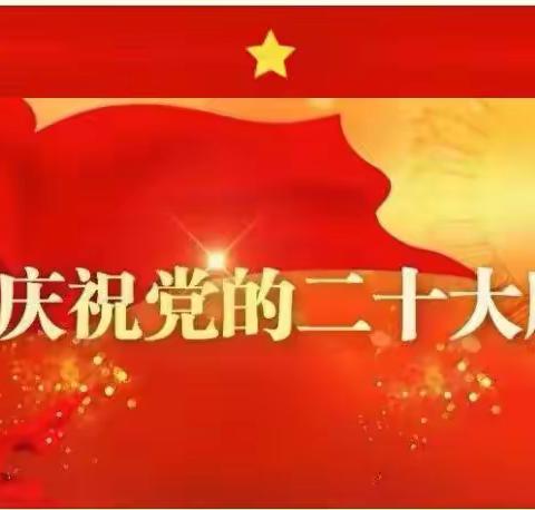 学贯党的二十大精神   坚持全面准确  做到学深悟透