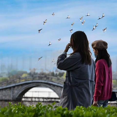 岁月逢春，一笺花信情更浓