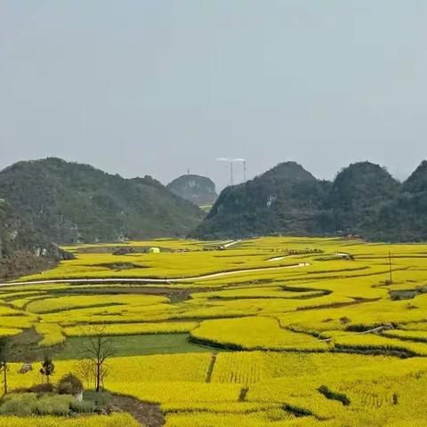 厉害了，木岗抵簸村