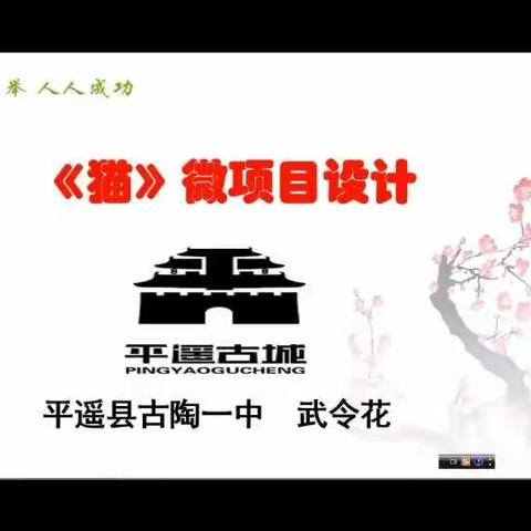 七年级语文下《猫》项目性学习