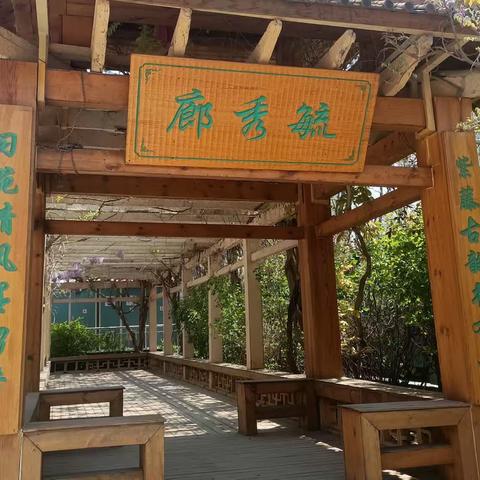 榆次语文项目性学习3