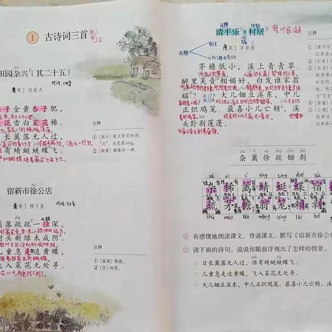 读书破万卷，下笔如有神——课本勾画批注选辑之泽希