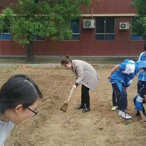 高庄中学支部绿靓行动（劳动基地整理篇）