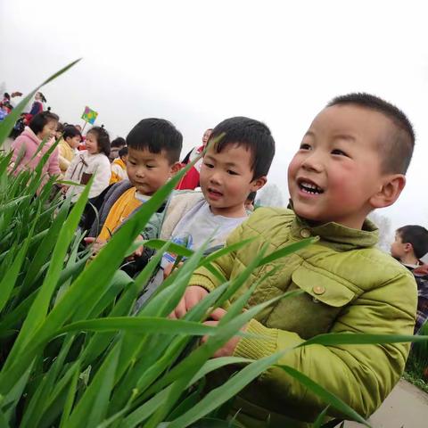 葛店实验幼儿园(小一班)清明节踏春郊游主题活动