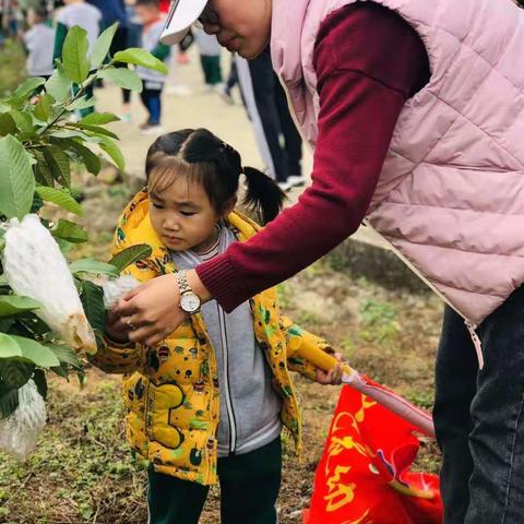 七色花幼儿园国际二班“亲亲大自然，走进绿橙园”亲子采摘活动