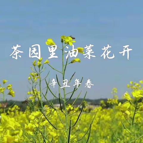春游啦