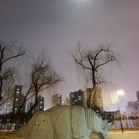 夜赴龙潭