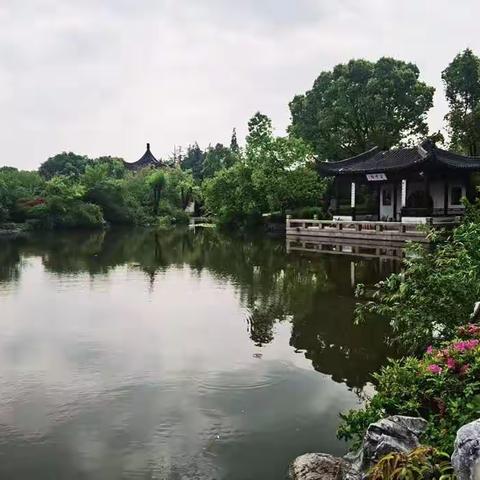 泗泾颐景园4月工作月报
