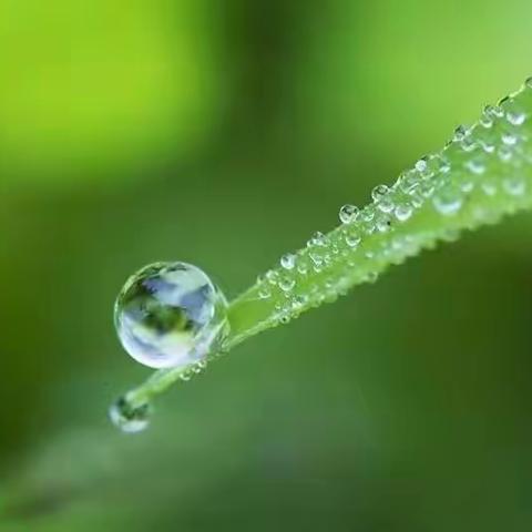 我们到底该喝什么水？