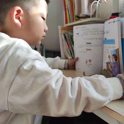 学会阅读，爱上阅读—一小二五班的同学们读书片段