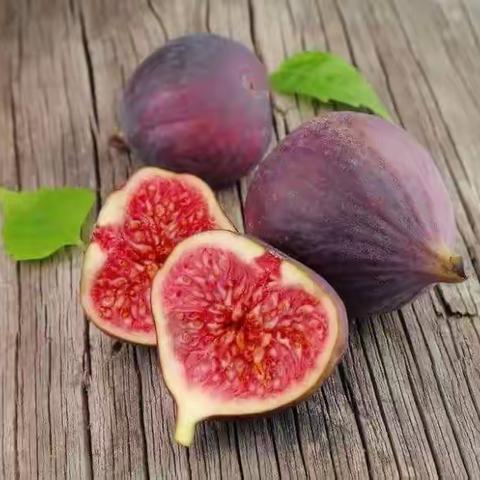 无花果的功效20230610