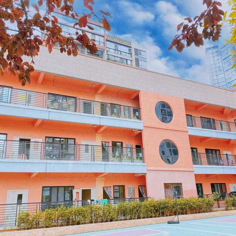 精彩户外，美好童年——品知幼儿园户外游戏