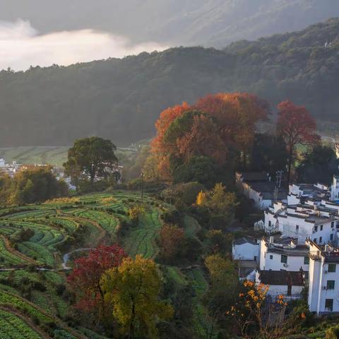 在婺源，寻找秋天的风景