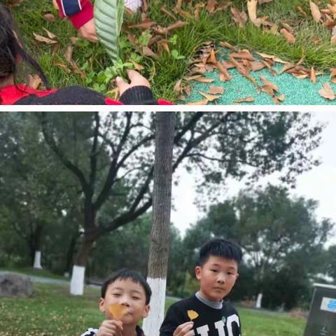 博达“双减”在行动系列——三语《大自然是一本看不完的书》