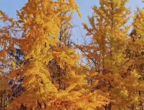 求真务实，砥砺前行---记咸阳强华学校初三期中考试质量分析会