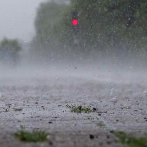 风雨中历练，竞技中成长——记2018三亚市航模船模及电子制作教育竞赛