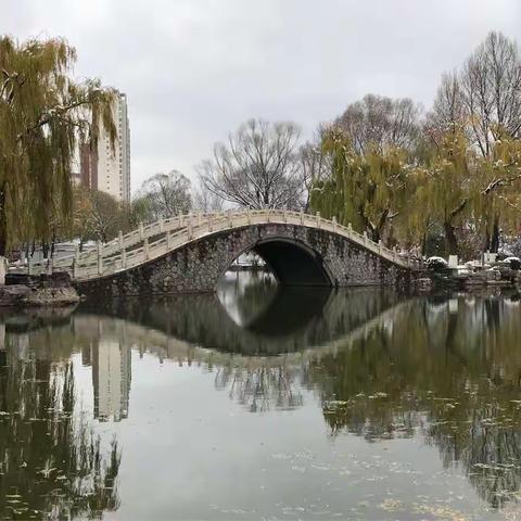 2018年的第一场雪