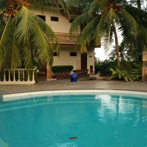 印度尼西亚民丹岛游记