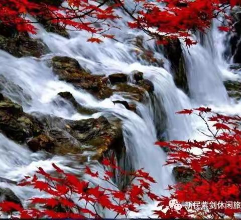 10月13日本溪关门山一日游费用车费＋门票每人130元