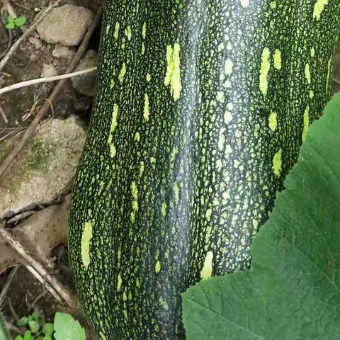 岁未，该忘的就忘！